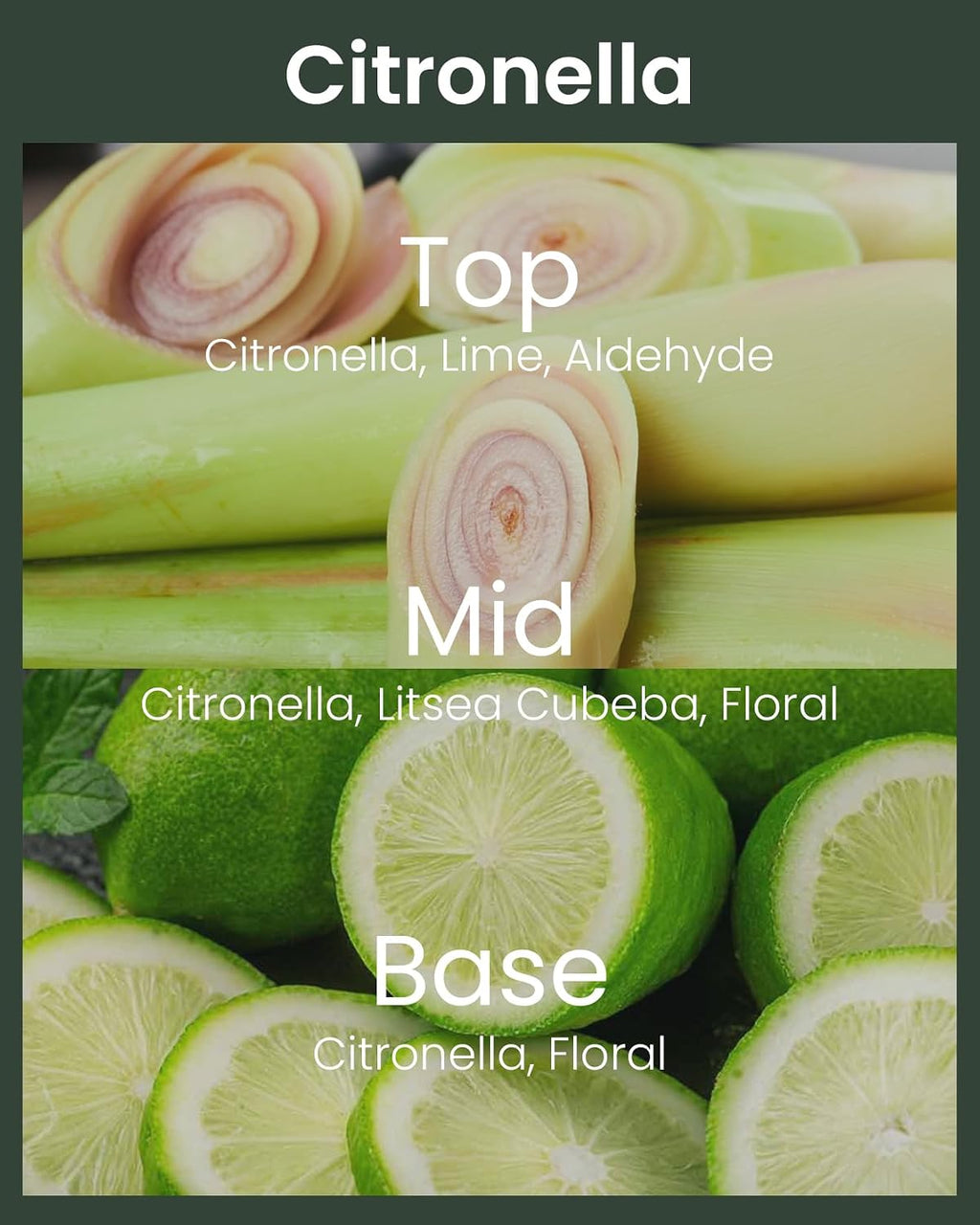 M&SENSE Citronella Candles Outdoor, 120 Hours Burn Natural Citronella Oil Soy Candle for Patio Camping, 19.4oz Large Long Lasting Lemongrass Summer Candles for Indoor Home Scented