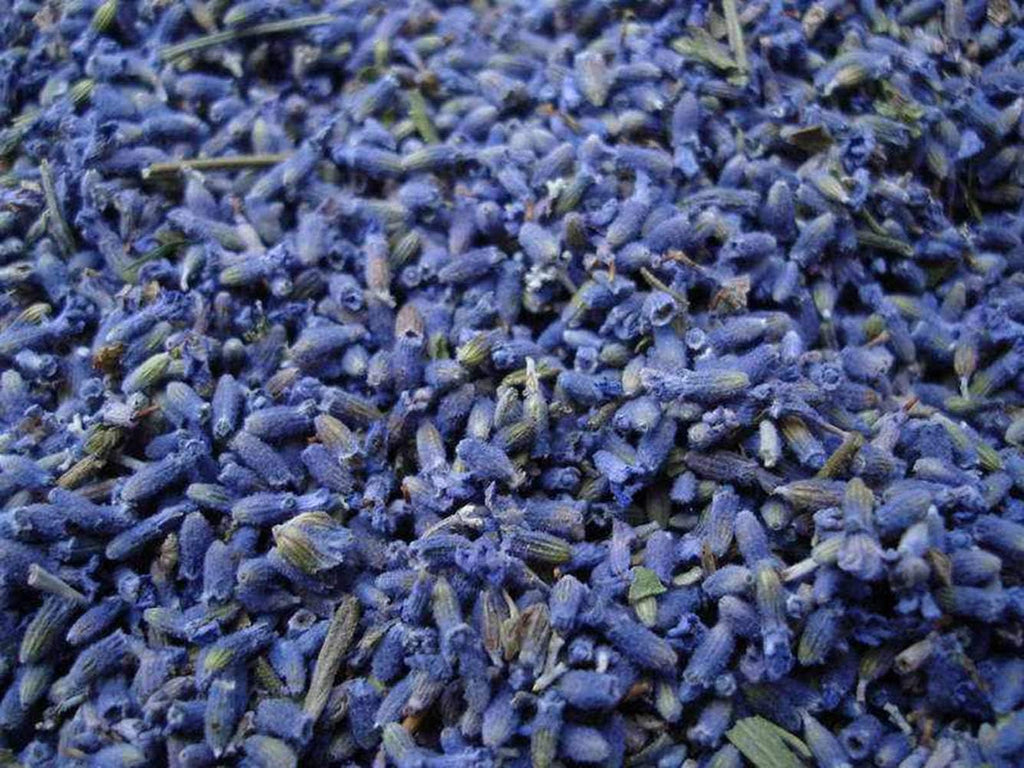 TooGet Culinary Dried Lavender Buds, 100% Raw Highland Grow Lavender Flowers, Ultra Blue Premium Grade Dried Flowers with Food Grade PET Plastic Bottle (4 OZ)