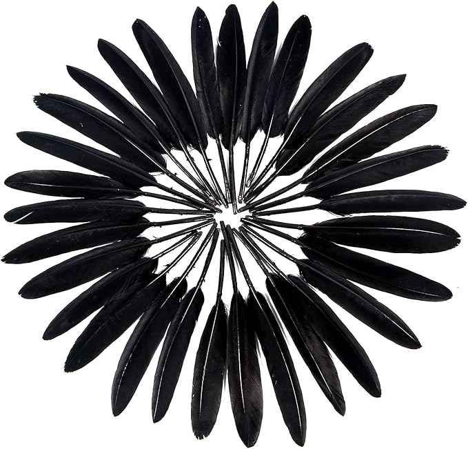 FeelfunFeather 120pcs Black Goose Cochettes Feather Natural Bulk 4-6 inch 10-15cm for Wedding Party Christmas Halloween Decorations DIY Crafts
