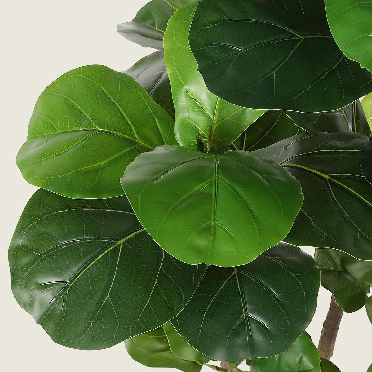 realead 5ft artificial fiddle leaf fig tree with, close-up detail