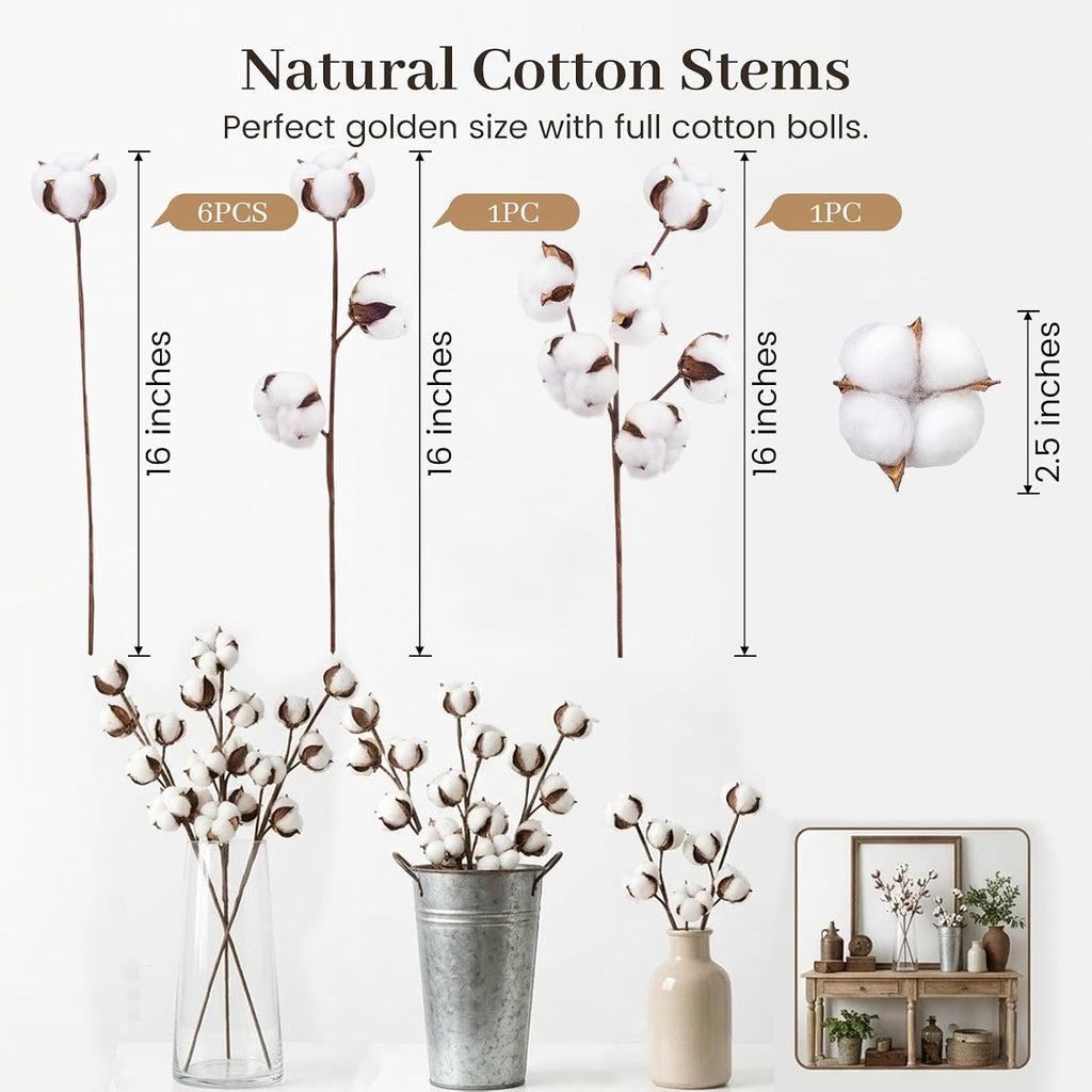 DomeStar Cotton Stems 8 Packs with 15 Bolls, Natural Dried Flowers Cotton Sprigs for Vase Fillers and Floral Arrangements - Fall Decorations and DIY Crafts