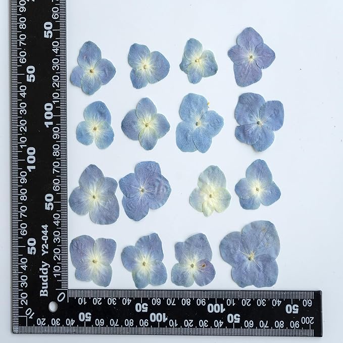 48 Pcs Dried Pressed Flowers for Resin DIY Art Crafts Natural Dry Hydrangea Floral Epoxy Jewelry Real Flower Decor Cakes Phone Cases Candles Handmade Soap Hydrangea