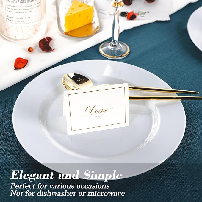 N9R 100PCS White Plastic Plates, 10.25inch Heavy Duty Plastic Disposable Plates, Premium Elegant Dinner Plates for Party