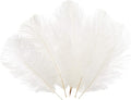 Sowder 6-8inch(15-20cm) Ostrich Feathers Plume for Wedding Centerpieces Home Decoration Pack of 10pcs(White)
