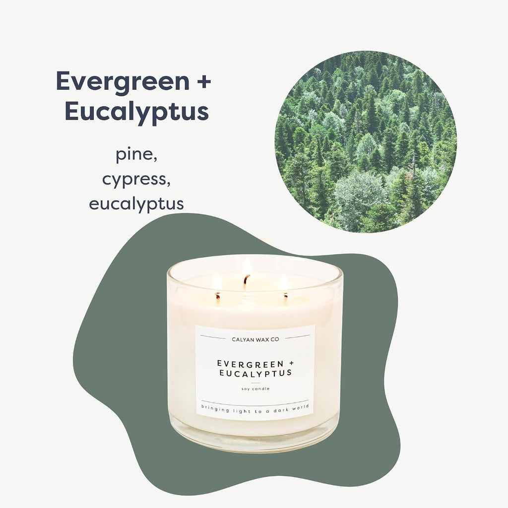 Calyan Wax Co. Evergreen & Eucalyptus 3 Wick Scented Candle - 43 Hour Burn - Luxury 3 Wick Soy Candles - Clean Soy Wax Candles - Long Lasting Large Glass Jar Candle for Home - 14.9oz