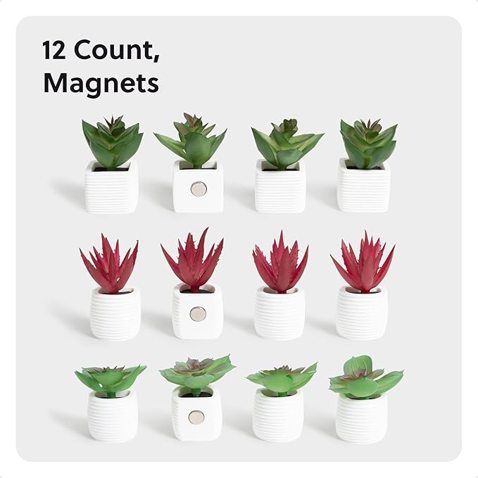U Brands Mini Fashion Small Magnet Set, Green Succulents, 12 Count, Office Supplies for Classroom or Office Decor, Cute Magnets for Whiteboard