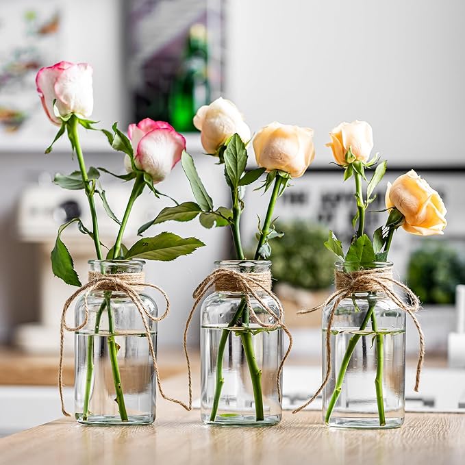 Vintage Glass Vases, Mason Jars for Centerpieces, Farmhouse Mason Jar Vase with Rope Design, Centerpiece Vases for Table, Wedding & Home Decor (9)
