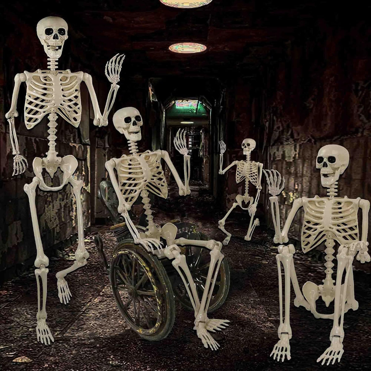 Znorso 5.4ft Halloween Skeleton - Halloween Posable Life Size Skeleton Huma F...