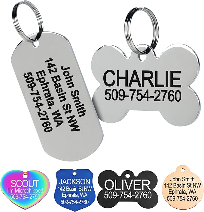 GoTags Stainless Steel Pet ID Tags, Personalized Dog Tags and Cat Tags, up to 8 Lines of Custom Text, Engraved on Both Sides, in Bone, Round, Heart, Bowtie and More (Rectangle, Small (Pack of 1))