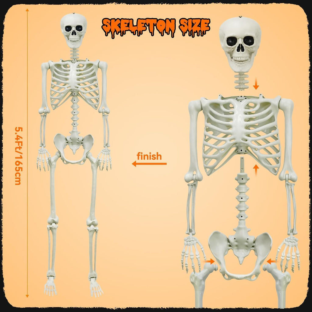 halloween decorations outdoor 5.4ft life-size realistic posable skeleton, close-up detail