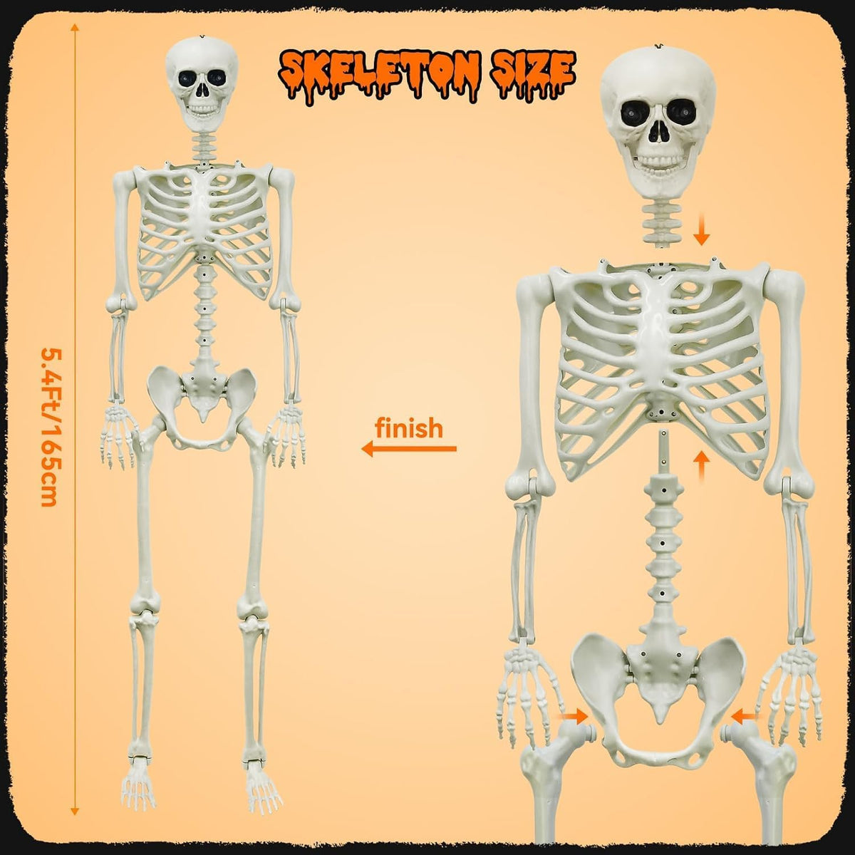 halloween decorations outdoor 5.4ft life-size realistic posable skeleton, close-up detail