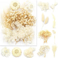 Vignee Real Dried Pressed Leaf Flowers-Multiple Colorful Pressed Flowers Daisies for Craft Resin Jewelry Making Art Craft DIY（White）