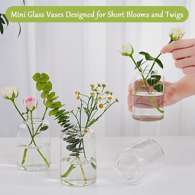 Small Glass Flower Vases, Set of 20 Clear Bud Vases for Centerpieces Mini Vase Bulk for Flowers for Wedding Birthday Party Housewarming Valentines' Day Table Centerpiece Decor