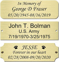 3" W x 1" H Personalized Custom Engraved Brushed Gold Solid Brass Plate Frame Name Label Art Tag for Frames with Adhesive Backing or Screws (Brass)