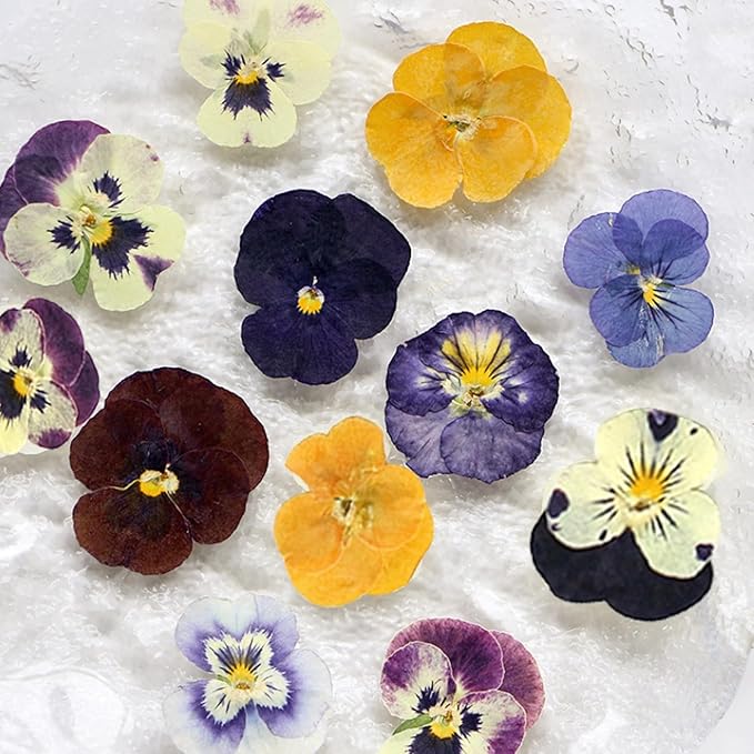 54 Pcs Dried Pressed Flowers for Resin DIY Art Crafts Natural Dry Floral Epoxy Jewelry Real Flower Decor Cakes Phone Cases Candles Handmade Soap Purple Pansy