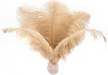Ballinger Large Champagne Ostrich Feathers - 24pcs 8-10inch Boho Feathers for vase and Home Decor Wedding Party Centerpieces