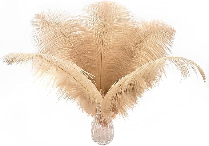 Ballinger Large Champagne Ostrich Feathers - 24pcs 8-10inch Boho Feathers for vase and Home Decor Wedding Party Centerpieces