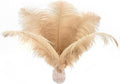 Ballinger Large Champagne Ostrich Feathers - 24pcs 12-14inch Boho Feathers for Vase and Home Decor Wedding Party Centerpieces