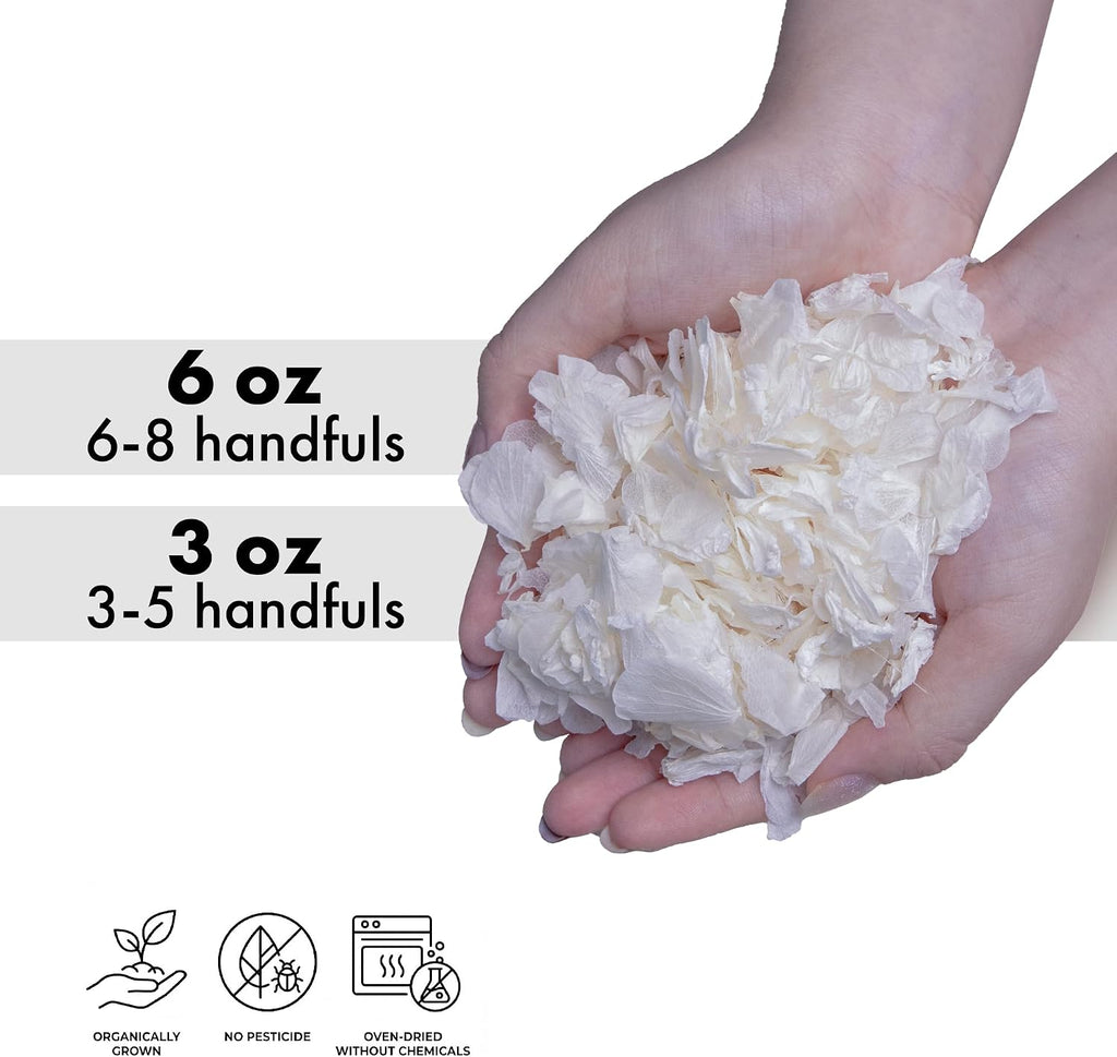 real ivory hydrangea dried flower confetti, nature?friendly, ivory, close-up detail