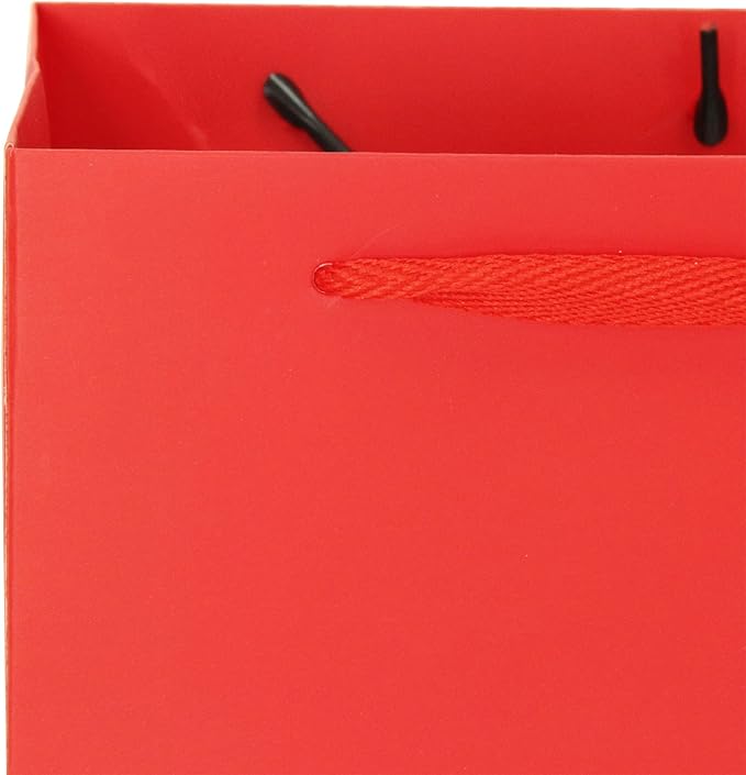 Red Paper Gift Bag Small Square Bottom Kraft Paper Bags with Handles for Wedding Baby Shower Birthday Party (Red, 8 x 8 x 8 in, 10 CT)
