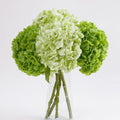 green hydrangea artificial flowers, latex real touch hydrangeas, main product view