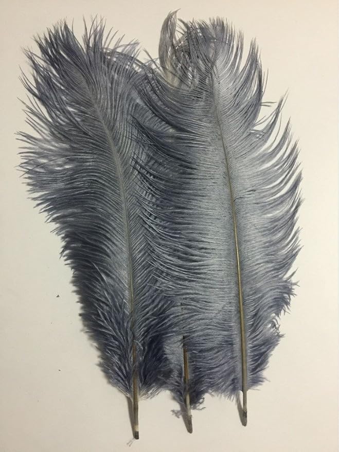KOLIGHT® 40pcs 12''~14''(30~35cm) Natural Ostrich Feathers for DIY Home Wedding Party Office Decoration (Gray)