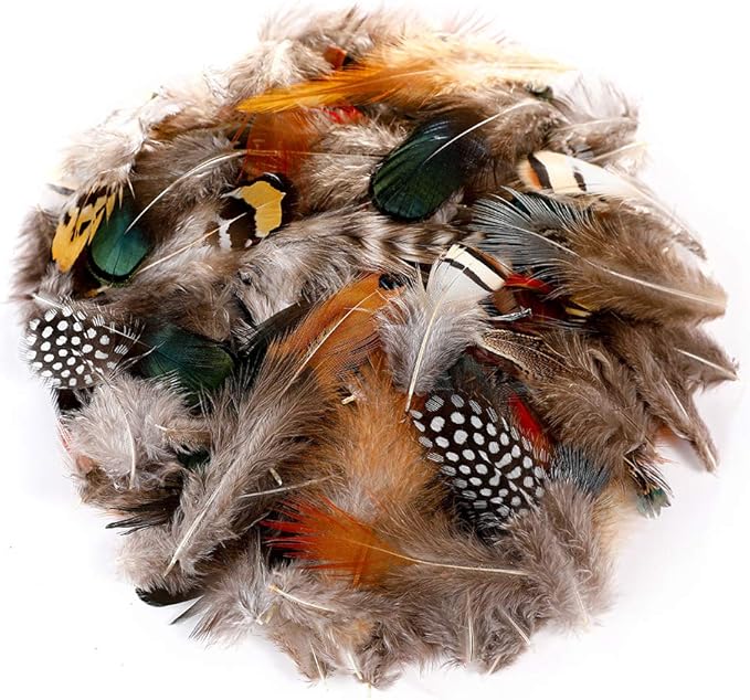 Ballinger 240pcs 12 Styled Natural Feathers Assorted Mixed Feathers for Jewelry and Dream Catcher Crafts Decoration