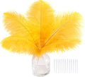 SOGUGOM Gold Craft Ostrich Feathers - 30PCS 6-8 inch Ostrich Feather Kit for Kindergarten Crafts, Dream Catchers and Mardi Gras(Gold)