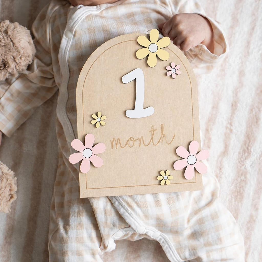 Baby Monthly Milestone Sign,1-12 Monthly Milestone Signs, Baby Girl Nursery Decoration, Newborn Photography Props Double-Sided (M01)