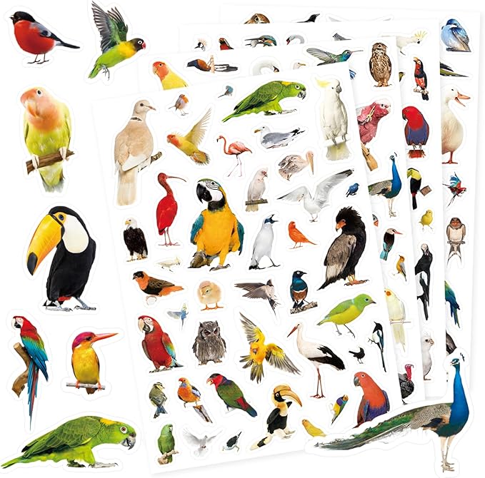 Bird Stickers 850 Count Tropical Bird Parrot Flamingo Peacock Hummingbirds Stickers Animal Party Favors Gifts Sticky Decor for Scrapbook Calendar Planner Gift Wrap Decor
