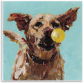 Dog Playing with Ball Joyful, 12 x 12 Inch Mounted Print on Wall Plaque | Stupell Industries · By Studio Bautista · Ready to hang · Great for living room or game room · Made in USA