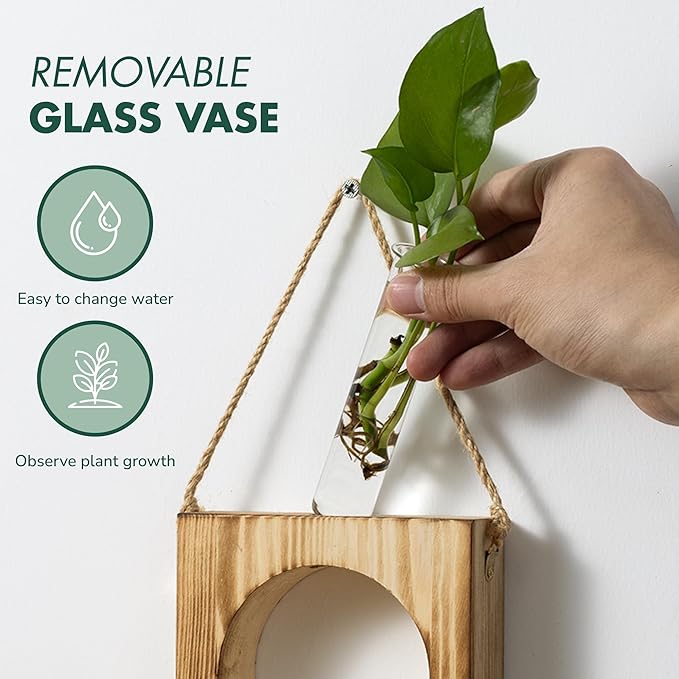 · GARDEN REPUBLIC · Propagation Stations Set of 3 - Propagation Vases for Plants - Hanging Wooden Wall Planter and Glass Test Tubes - Indoor Plant Holder, Hydroponic Decor