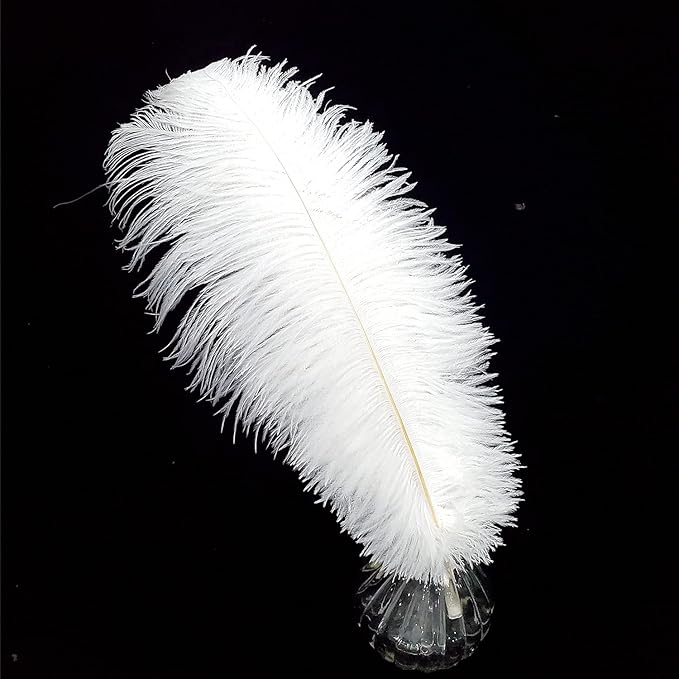 Happy Feather 16-18 inch White Ostrich Feathers Craft for Wedding Party Centerpieces Home Decoration DIY Craft Pack of 10