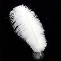 Happy Feather 16-18 inch White Ostrich Feathers Craft for Wedding Party Centerpieces Home Decoration DIY Craft Pack of 10