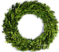 boxwood wreath large 17 inch preserved nature real, main product view