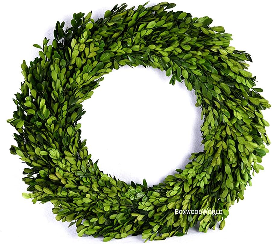 boxwood wreath large 17 inch preserved nature real, main product view