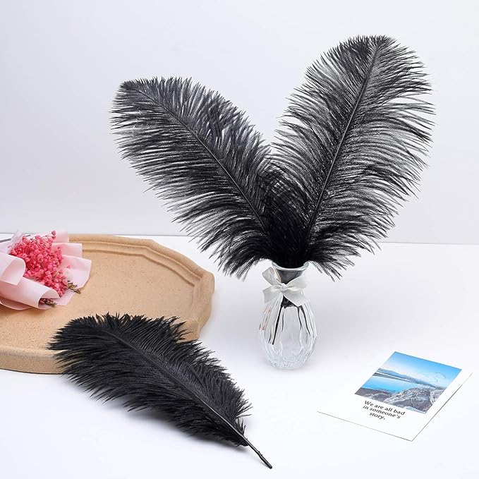 Ballinger Black Large Ostrich Feathers - 24Pcs 12-14inch Large Feathers for Vase,Gatsby and Halloween Party Centerpieces
