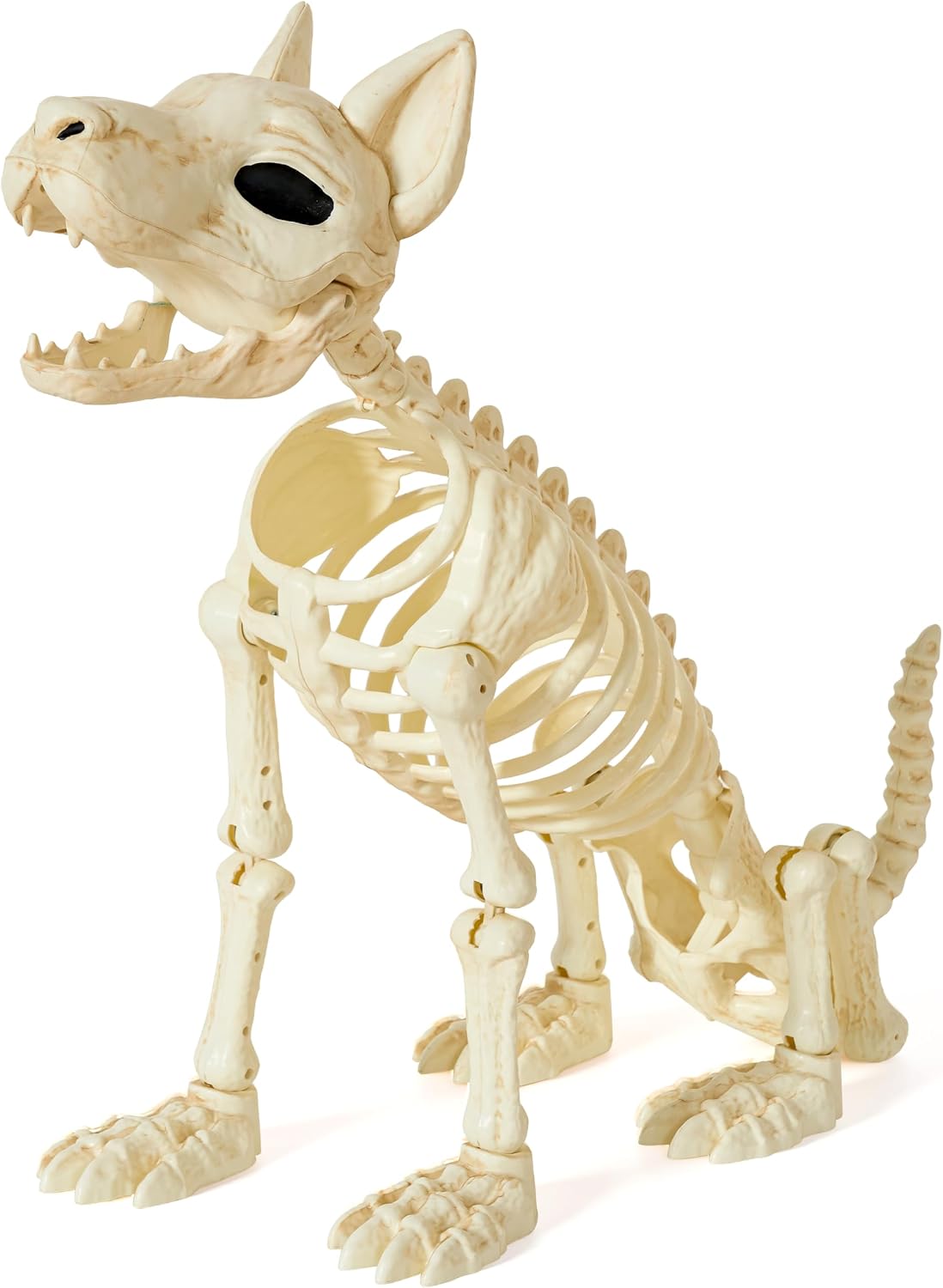 JOYIN 34” Halloween German Shepherd Skeleton, Life Size Plastic Dog Skeleton ...