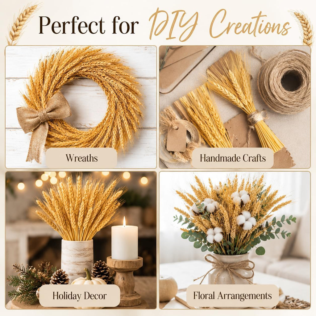 Sukh 100 Stems Dried Wheat Stalks - Boho Fall Decor for Home & Wedding | Natural Wheat Sheaves, Ideal Vase Filler, Table Centerpiece for Thanksgiving, Harvest, Autumn Farmhouse Accent, 12.9in