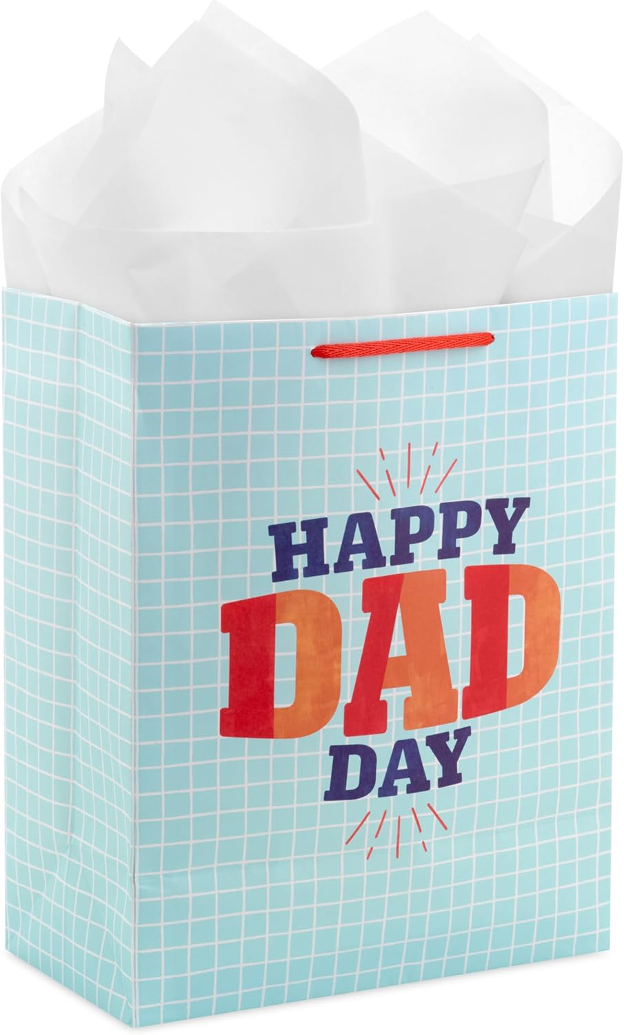Hallmark 13" Large Father's Day Gift Bag with Tissue Paper and Gift Tag (Happy Dad Day, Light Blue)