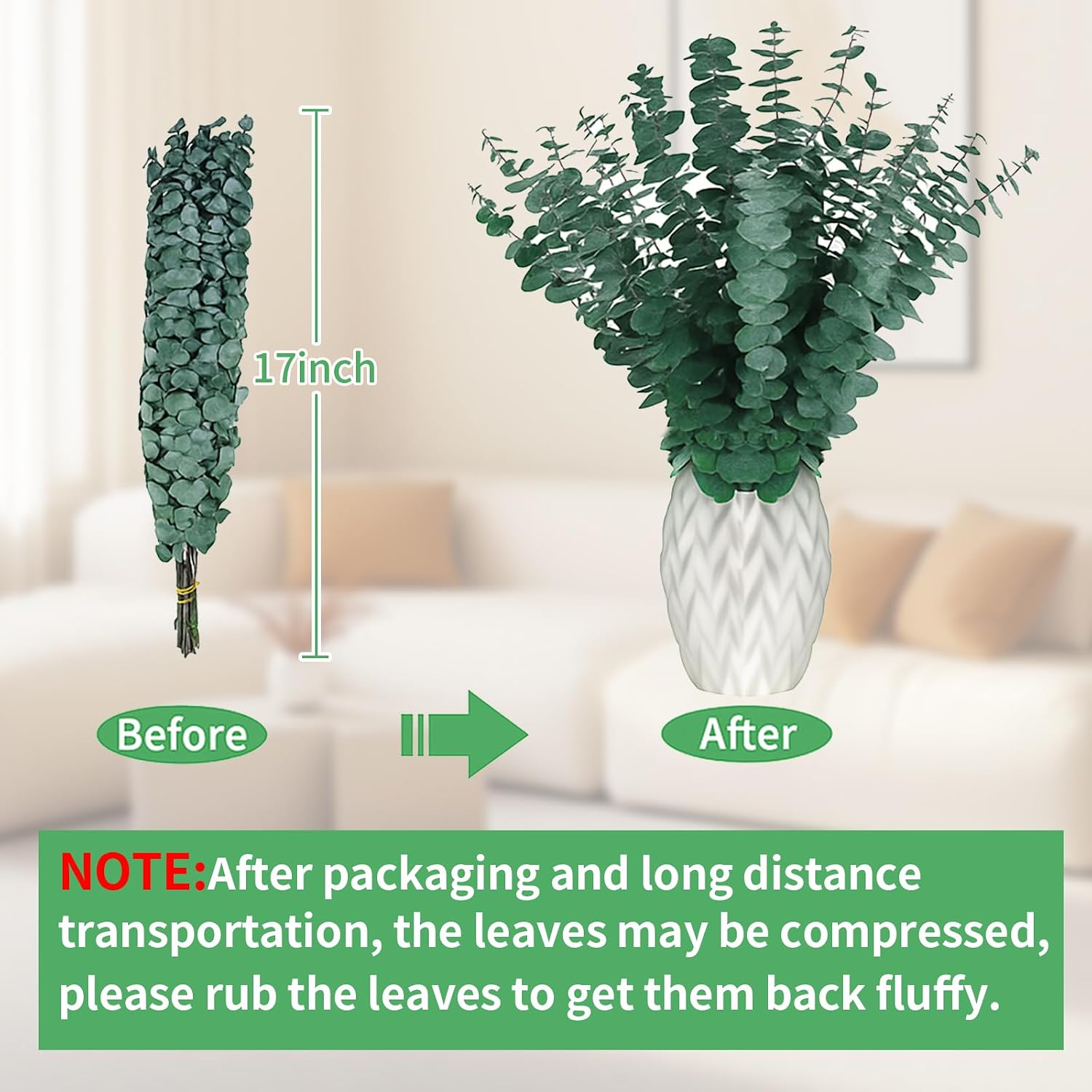 12PCS Dried Eucalyptus Bundle 17'' Real Eucalyptus Stems 100% Natural Fresh Leaves Hanging Plants Greenery Stems for Shower Home Decor Flower Arrangement Wedding