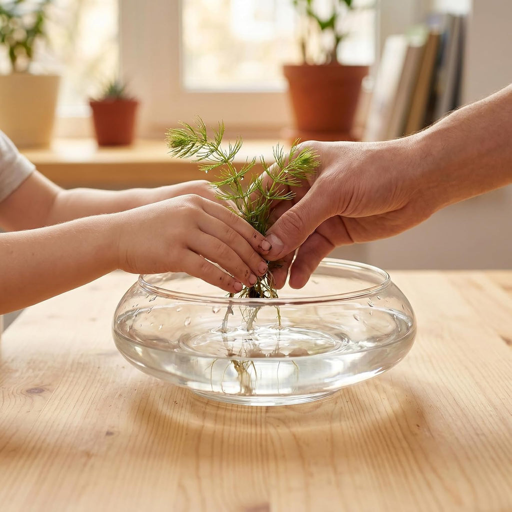 Glass Bowl Candle Holders Elegant Minimalist Design 2pcs for Floating Candles 7.1" 5.9" for Wedding Table Decor and Home Centerpieces