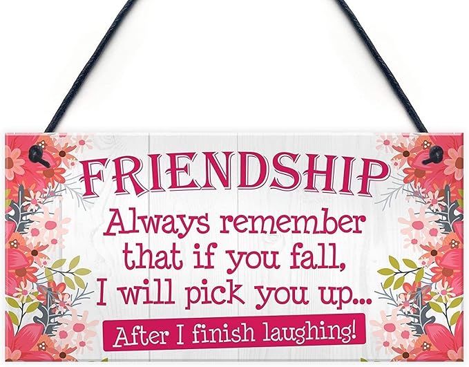 Rustic Wooden Signs Friendship Always Remember That if You Fall, I Will Pick You Up After I Finish Laughing Wood Plaque Sign Wall Art Decor Kitchen Cafe Pub Decor Gift 6x12 INCH