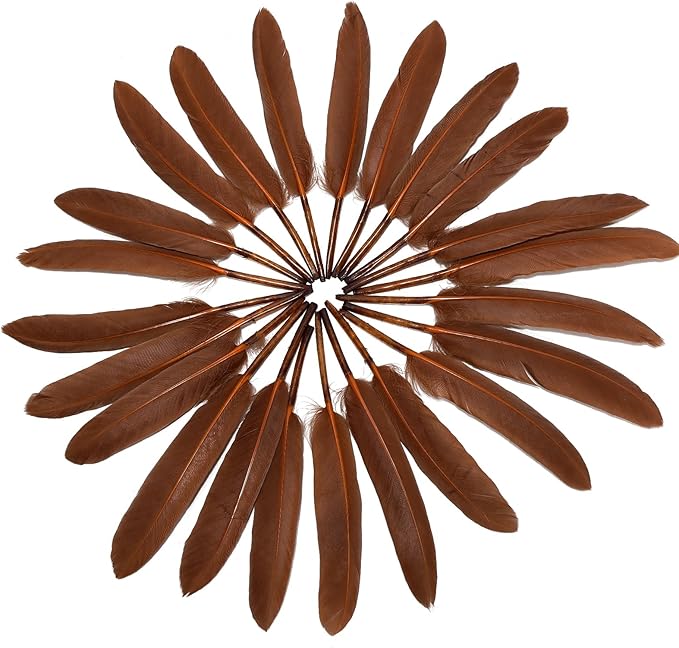FeelfunFeather 120pcs Coffee Brown Goose Cochettes Feather Natural Bulk 4-6 inch 10-15cm for Wedding Party Christmas Decorations DIY Crafts Goose Cochettes Feather