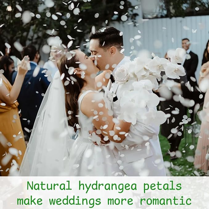 3000+Pcs Real Ivory White Dried Hydrangea Flower Petals - 100% Natural Creamy White Flower Petals for Wedding Confetti, Romantic Night Decor, DIY Handcrafts (2.12oz)