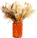 Fall Decor for Home Fall Vase with Boho Flowers Mini Pumpkin Vase Filler Set Rustic Thanksgiving Farmhouse Autumn Decorations Pampas Grass Dried Flower Pumpkin Centerpieces for Tables