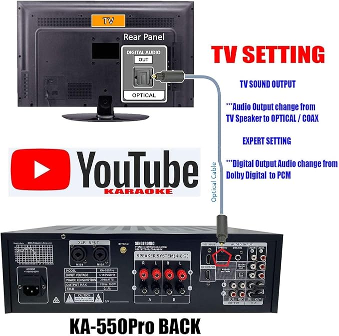 SINGTRONIC Professional 2000 WATTS Complete Karaoke System Package Free: Unlimited YouTube Songs, Built HDMI, Voice Record, Optical/Coax
