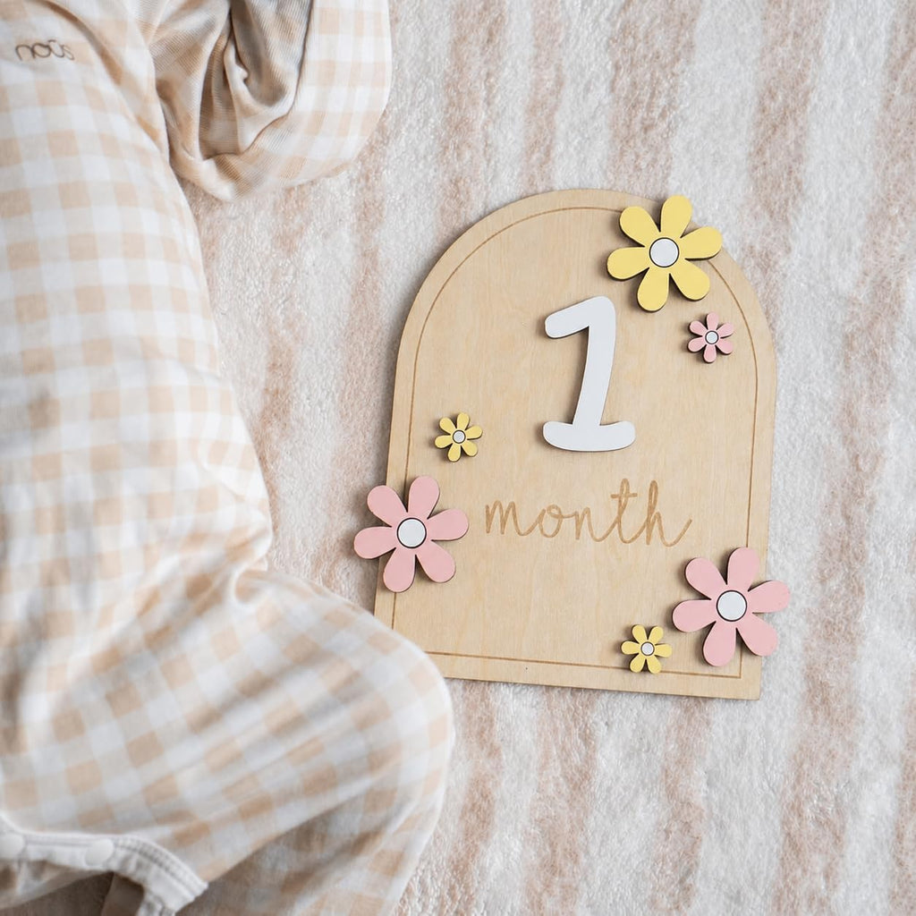 Baby Monthly Milestone Sign,1-12 Monthly Milestone Signs, Baby Girl Nursery Decoration, Newborn Photography Props Double-Sided (M01)