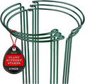 6 Pack Plant Support Stakes, Metal Monstera Plant Support Stakes for Indoor Plants, Large Garden Plant Support Ring, Tomato Cage, Tall Plant Holder Sticks (10" W X 15.8" H)