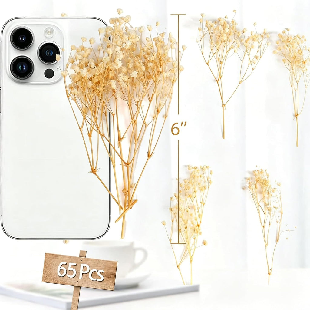 3000+ Mini Dried Baby's Breath Flowers, 6'' Natural Ivory White Flowers for Resin Art Craft DIY, 65Pcs Pressed Gypsophila Bouquet Present for Valentine's Day, Wedding Wreath, Card Making, Home Decor